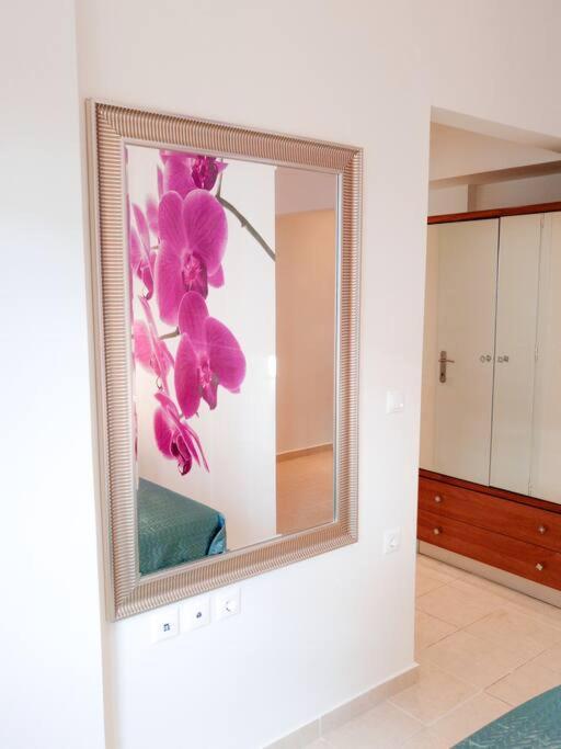 ת'רמי Orchid Apartments חדר תמונה