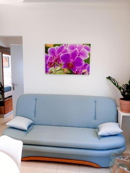ת'רמי Orchid Apartments חדר תמונה